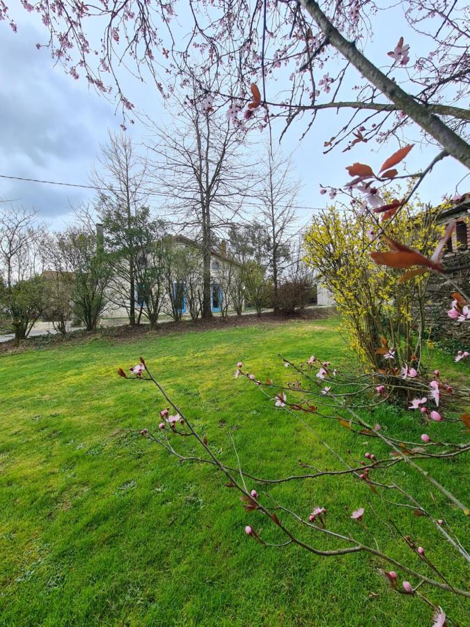 Le Terrier Maison De Campagne 250 M2 Grande Capacite 20 Couchages, 4500M2 De Terrain Villa Saint-Pierre-du-Chemin Kültér fotó
